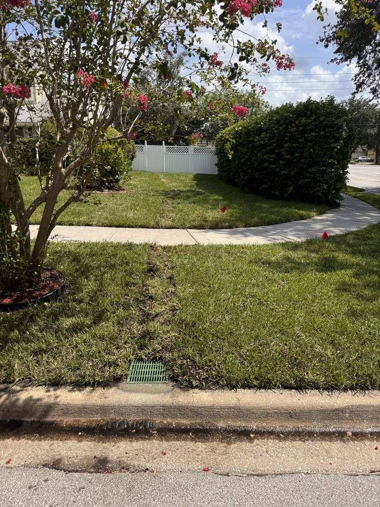 Finished front lawn with a flush curbside drain grate